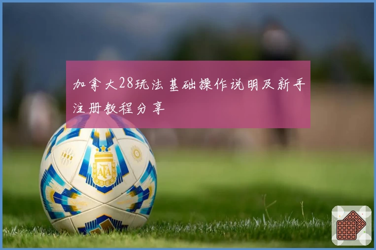 加拿大28玩法基础操作说明及新手注册教程分享