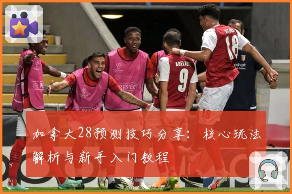 加拿大28预测技巧分享：核心玩法解析与新手入门教程