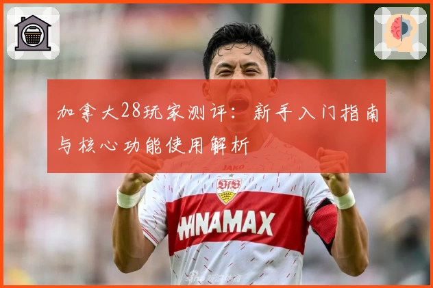 加拿大28玩家测评：新手入门指南与核心功能使用解析