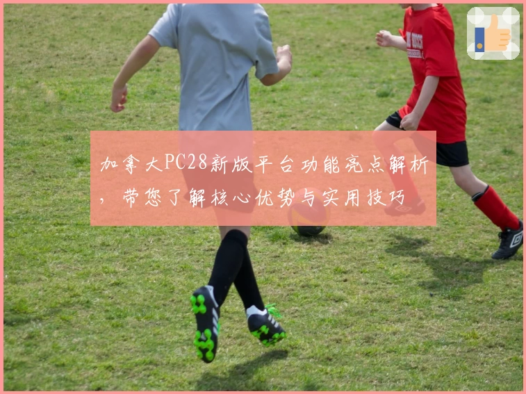 加拿大PC28新版平台功能亮点解析，带您了解核心优势与实用技巧