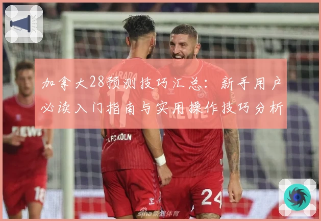 加拿大28预测技巧汇总：新手用户必读入门指南与实用操作技巧分析
