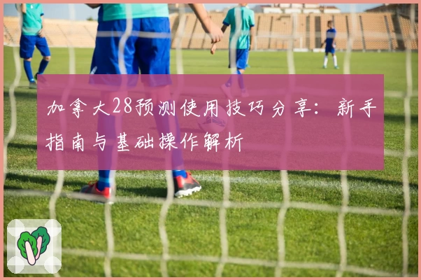 加拿大28预测使用技巧分享：新手指南与基础操作解析
