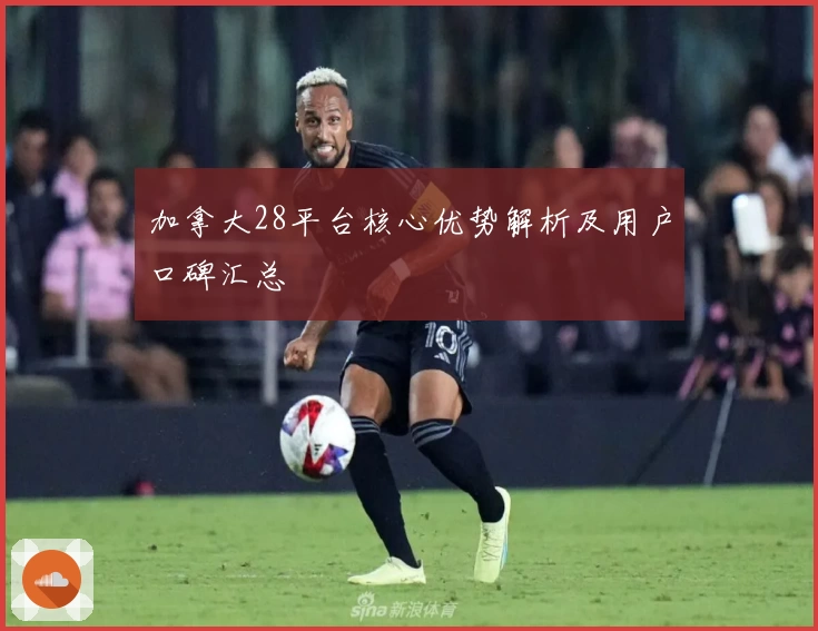 加拿大28平台核心优势解析及用户口碑汇总