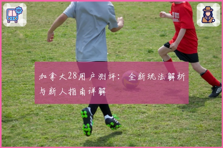 加拿大28用户测评：全新玩法解析与新人指南详解