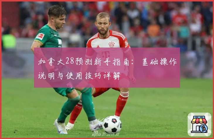 加拿大28预测新手指南：基础操作说明与使用技巧详解