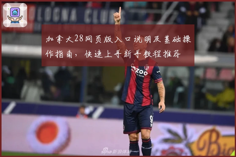 加拿大28网页版入口说明及基础操作指南，快速上手新手教程推荐
