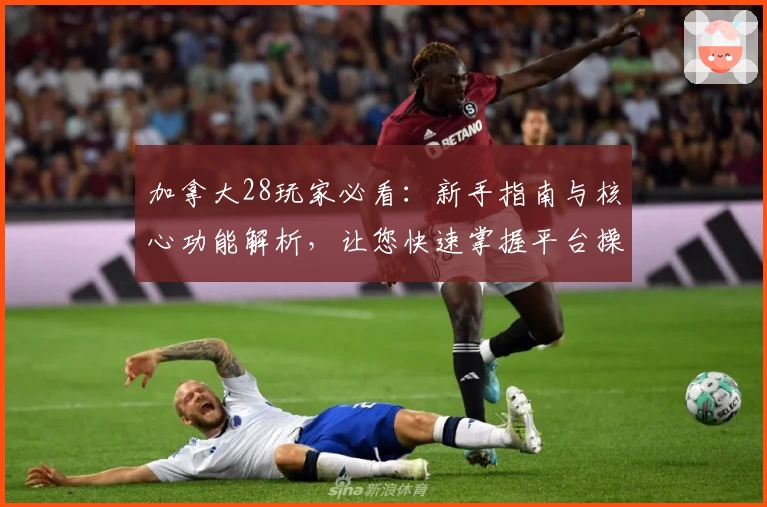 加拿大28玩家必看:新手指南与核心功能解析,让您快速掌握平台操作技巧