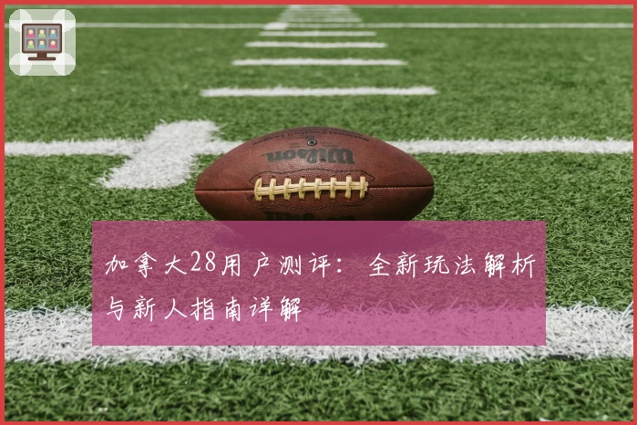 加拿大28用户测评：全新玩法解析与新人指南详解