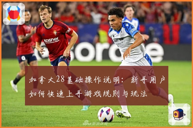 加拿大28基础操作说明：新手用户如何快速上手游戏规则与玩法