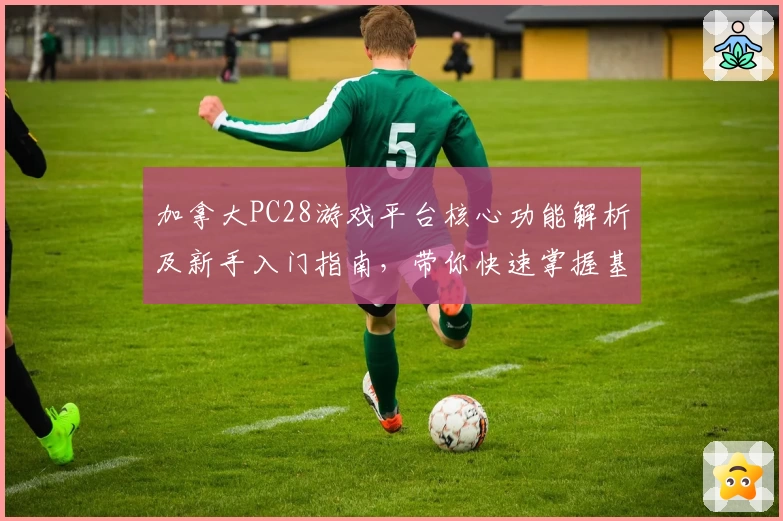 加拿大PC28游戏平台核心功能解析及新手入门指南，带你快速掌握基础操作技巧