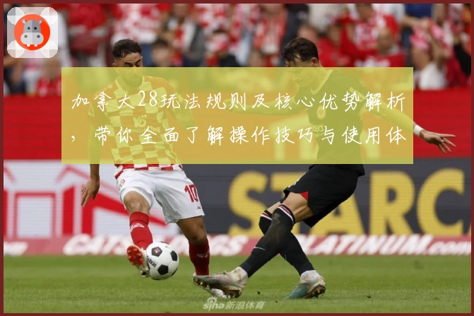 加拿大28玩法规则及核心优势解析，带你全面了解操作技巧与使用体验