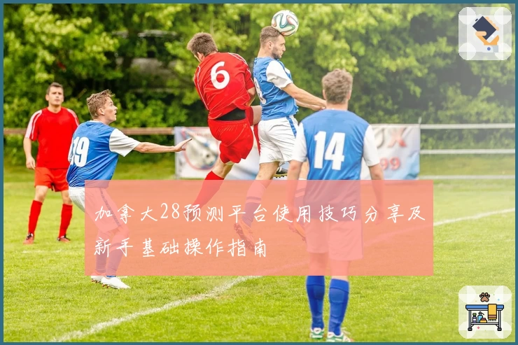 加拿大28预测平台使用技巧分享及新手基础操作指南